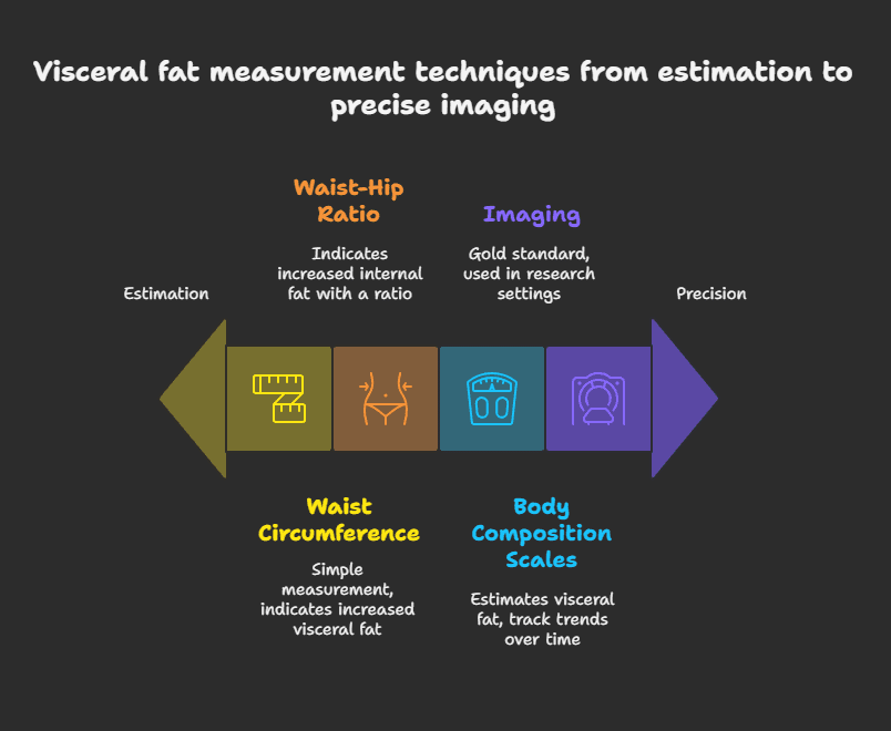 Tracking Your Internal Fat: Equipment and Techniques