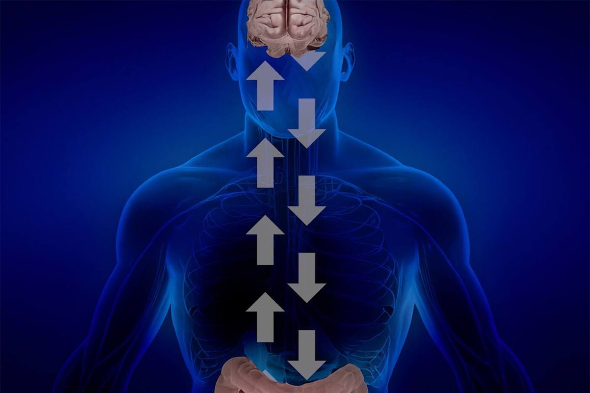 The Gut-Brain Axis